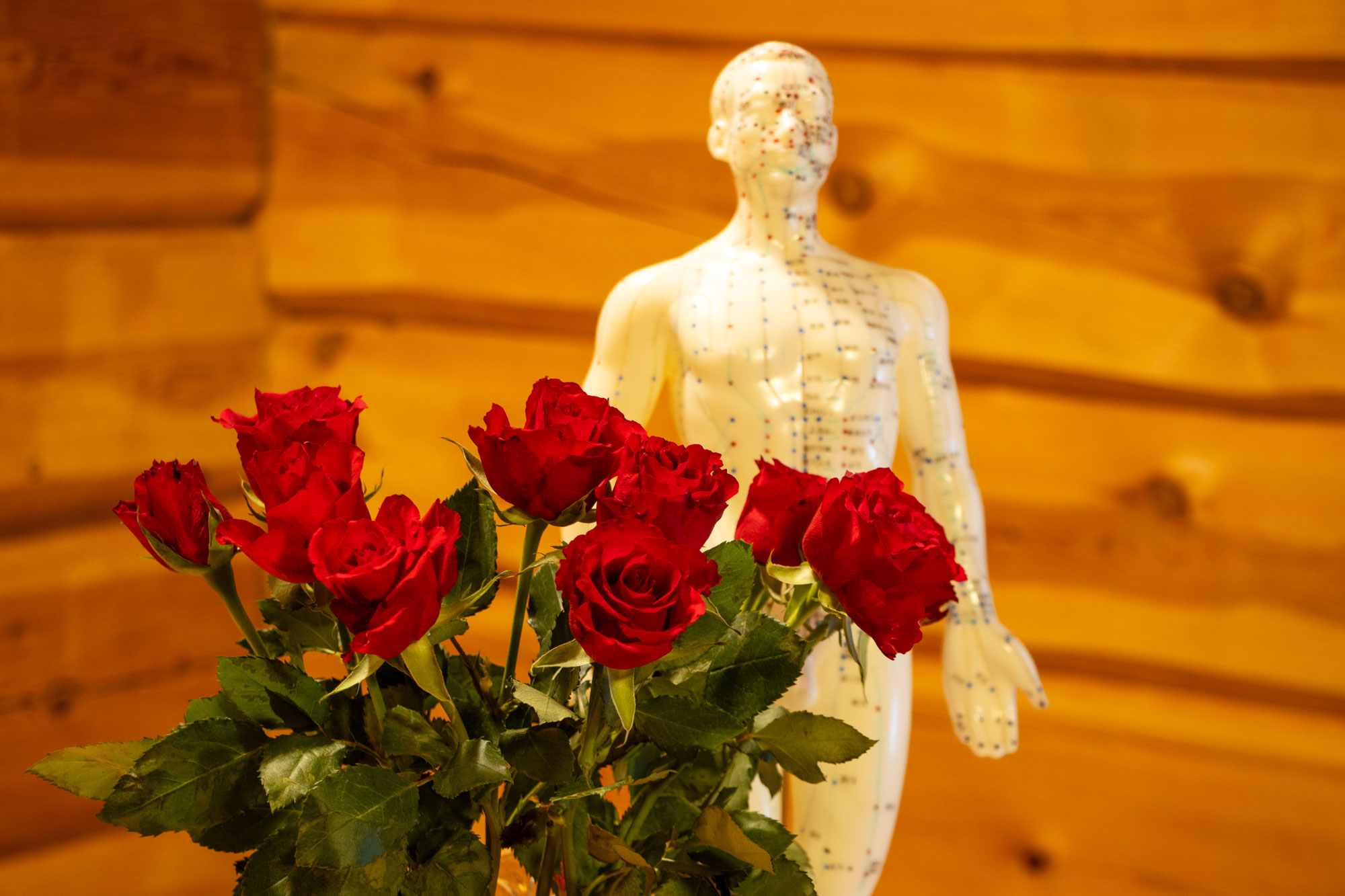 Shiatsu-hoitajia koulutetaan Kirvesrannassa.