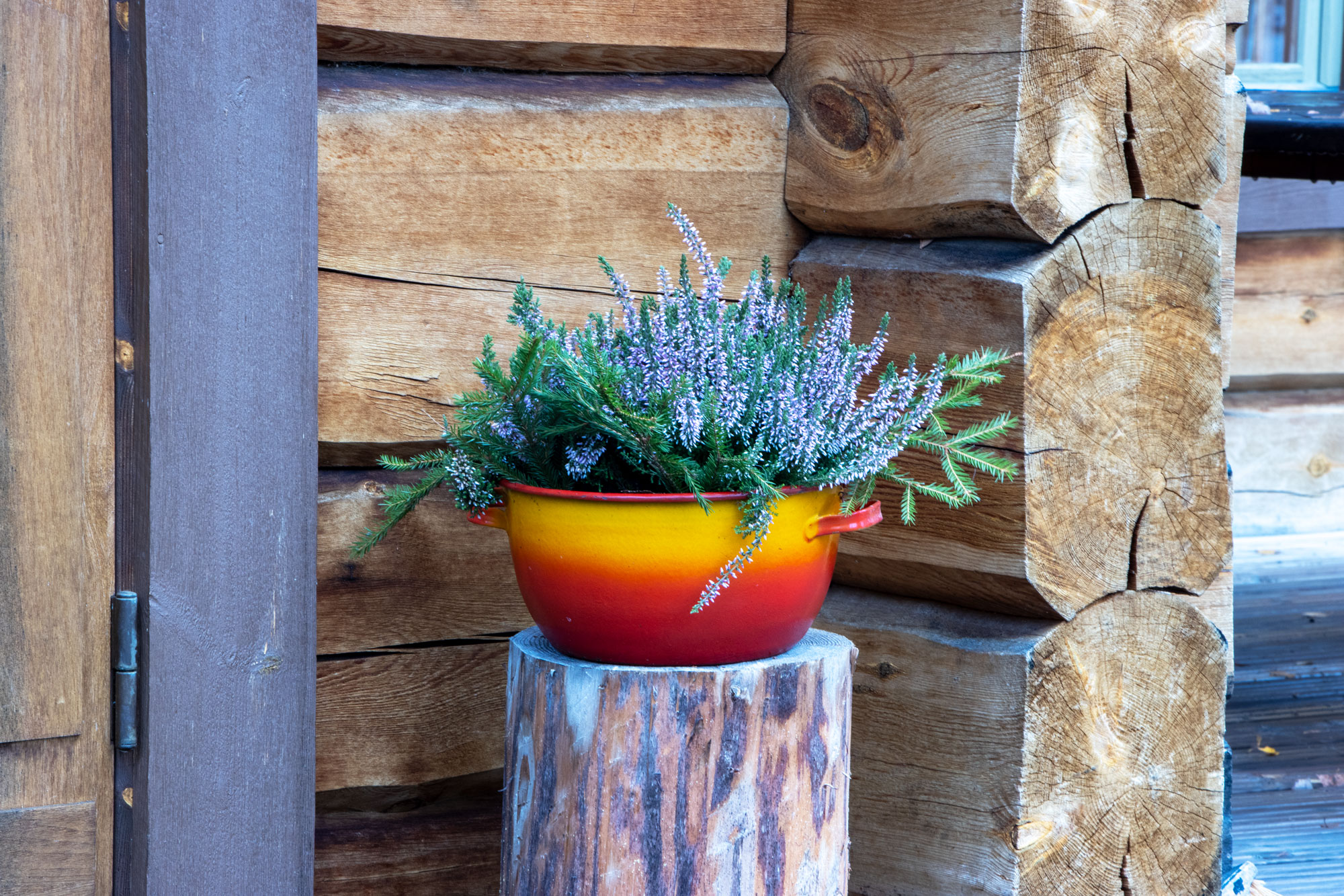 04 artikkeli kuva 02 lisakuva