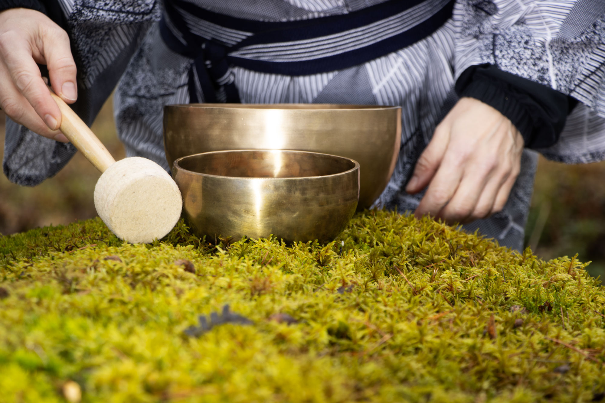 Äänimaljat sammalpedillä.