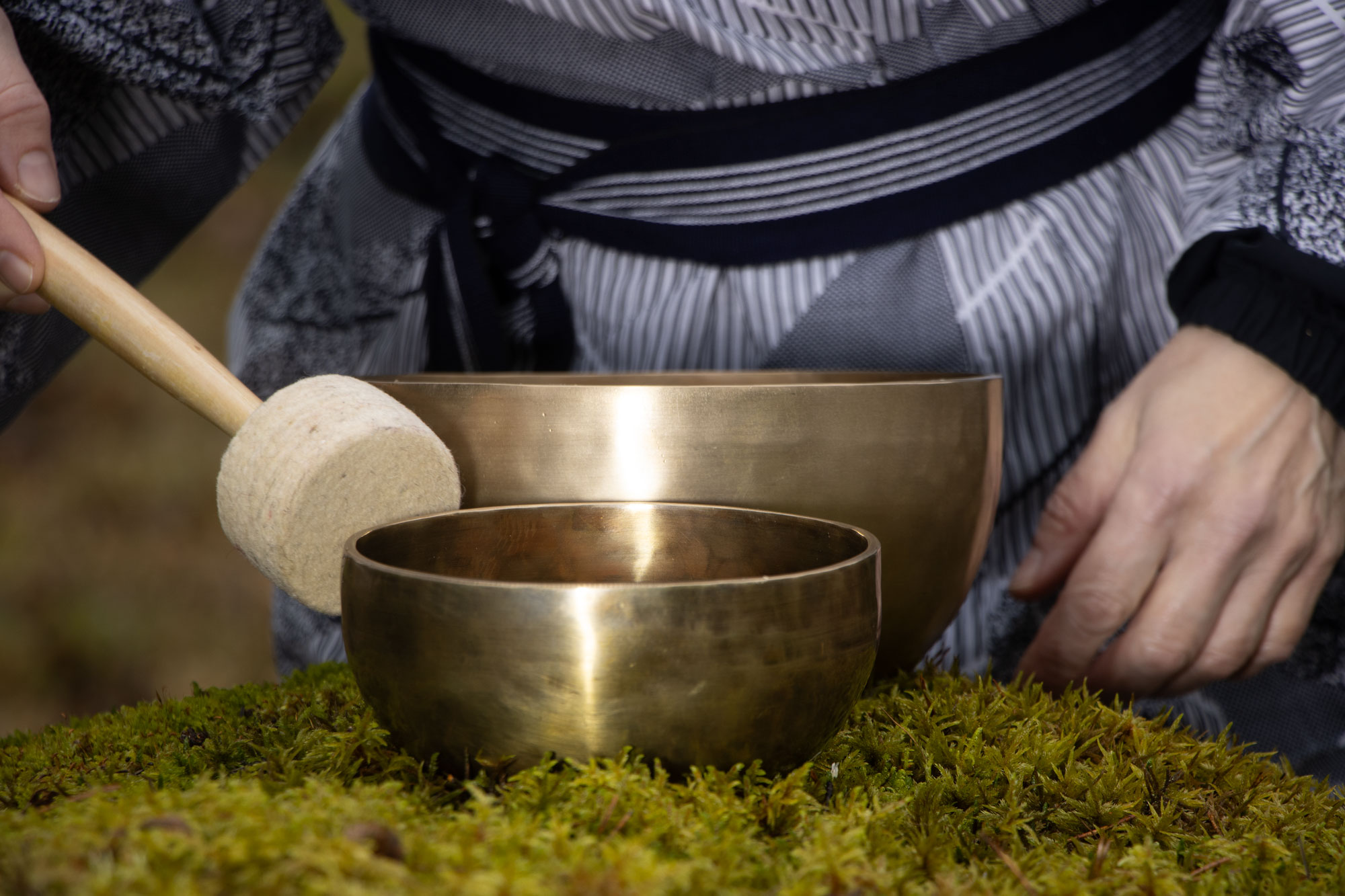 Äänimaljat sammalpedillä.