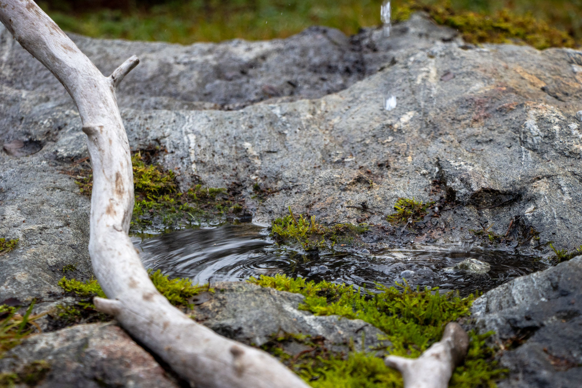 Kirvesrannan palvelut ryhmille