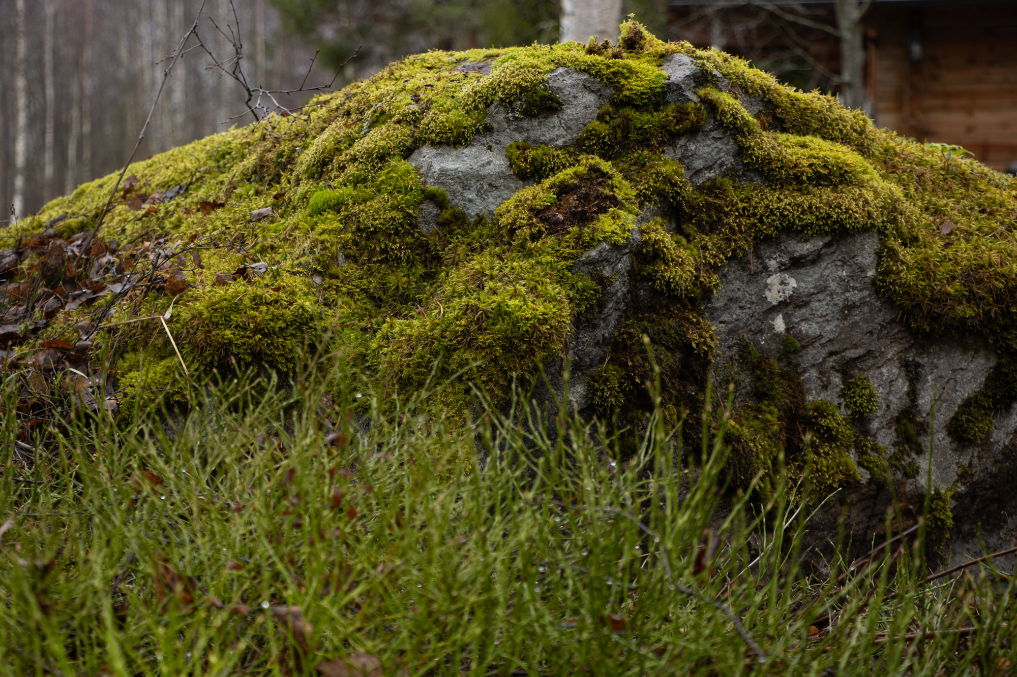 _MG_5301_save_for_web