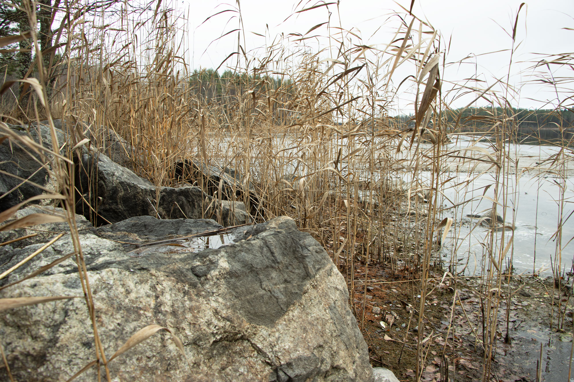 _MG_5345_save_for_web