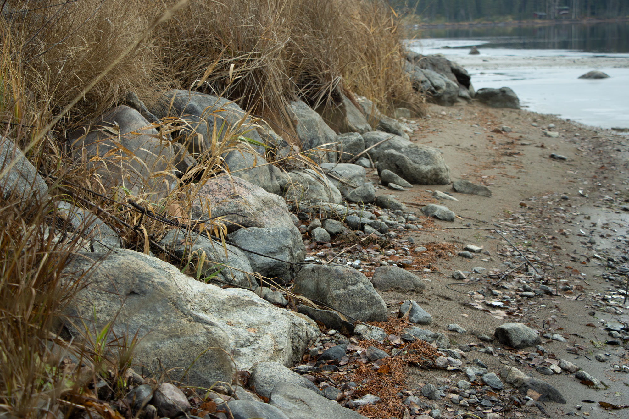 Rantahietikko on paljastunut.