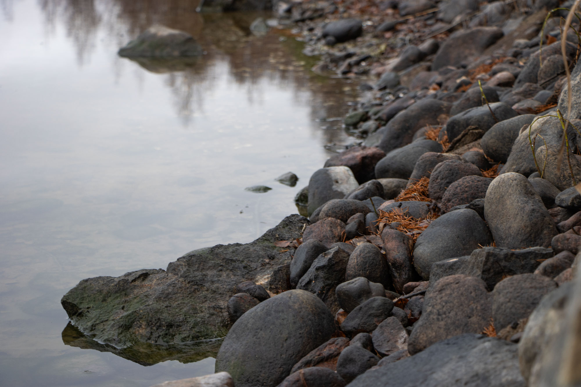 Ranta on paljastunut.